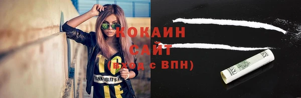 твердый Алзамай